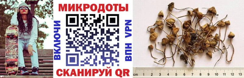 Галлюциногенные грибы мухоморы  mega   Курильск 